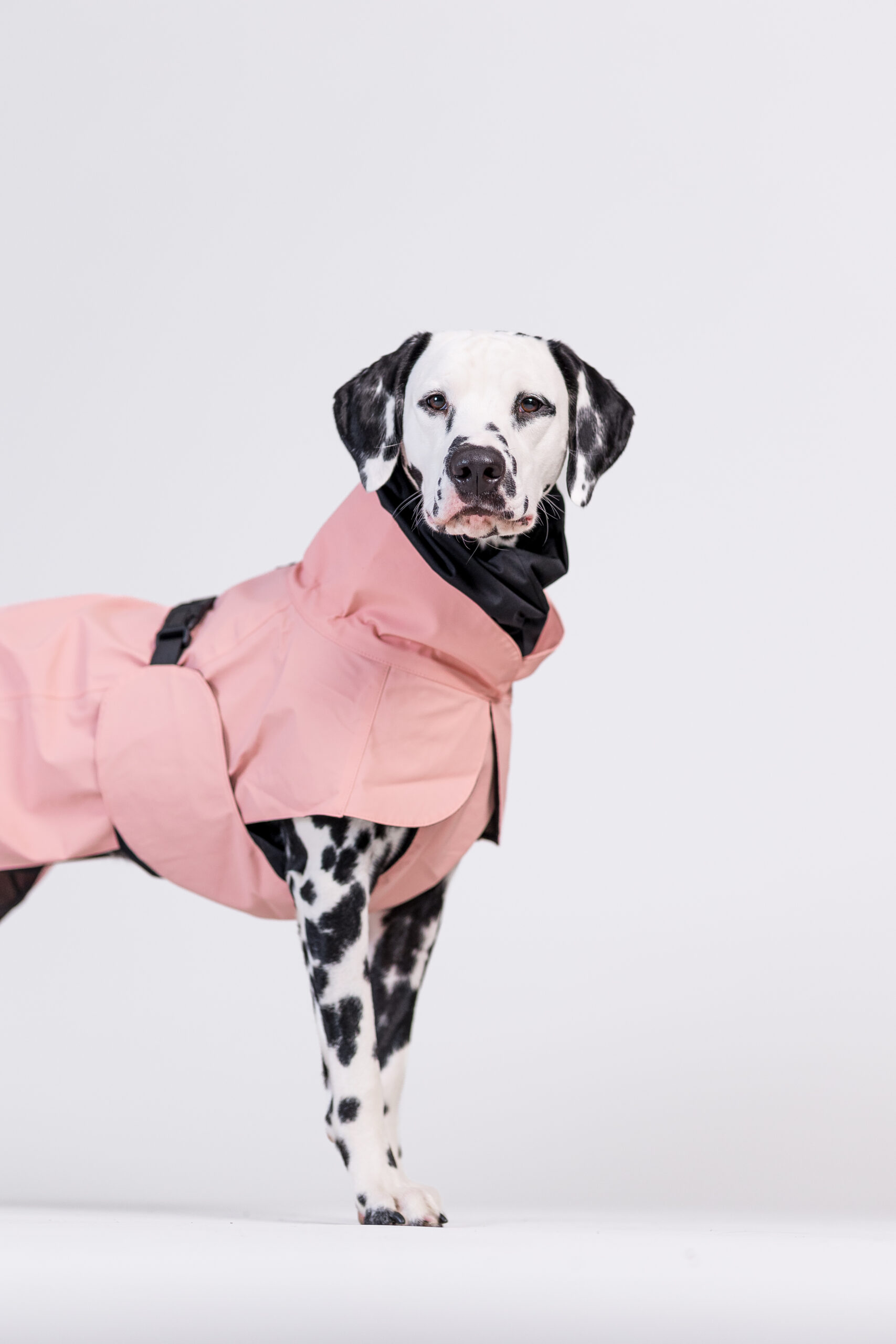 Afbeelding *Paikka Visibility Raincoat Lite Rose