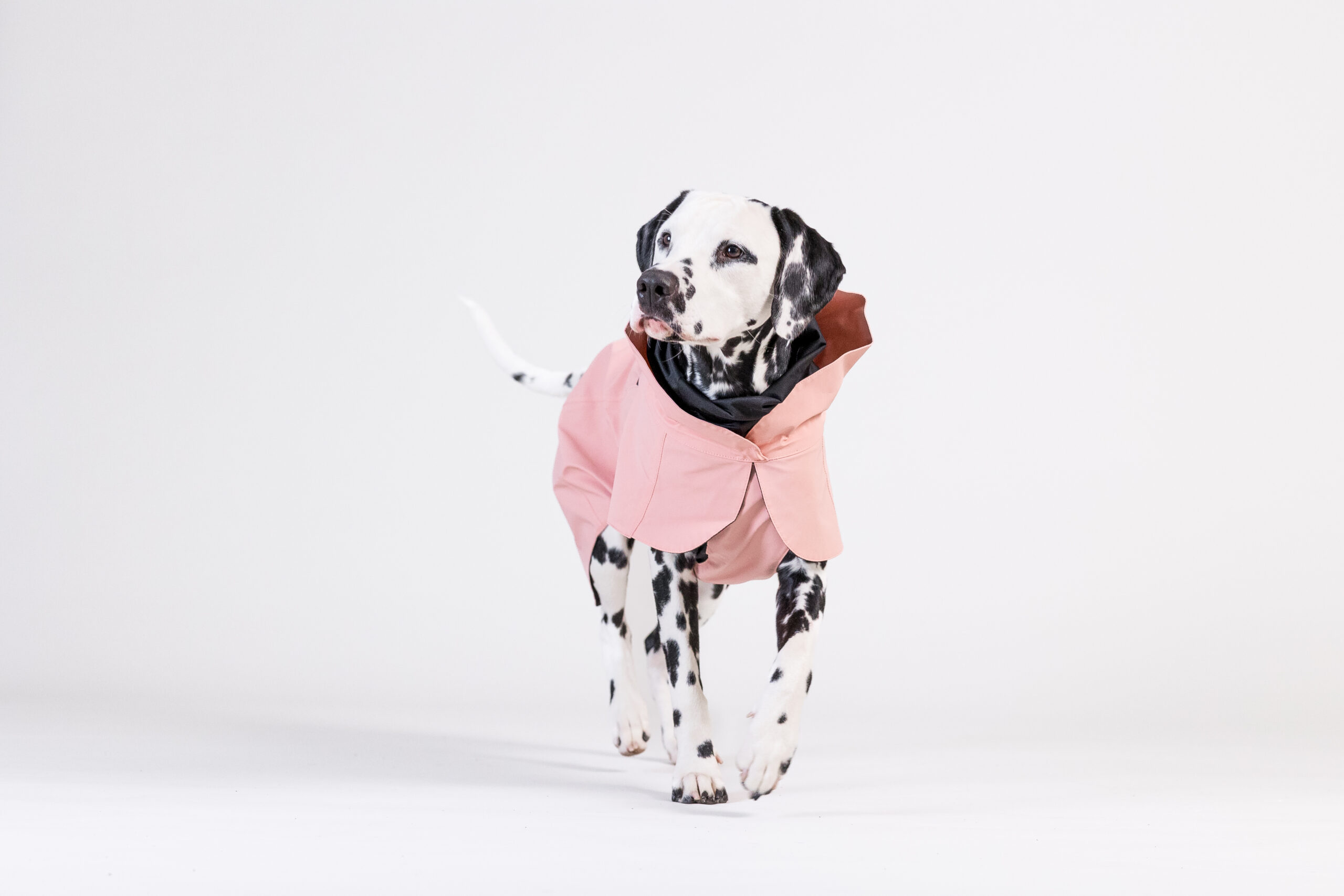 Afbeelding *Paikka Visibility Raincoat Lite Rose