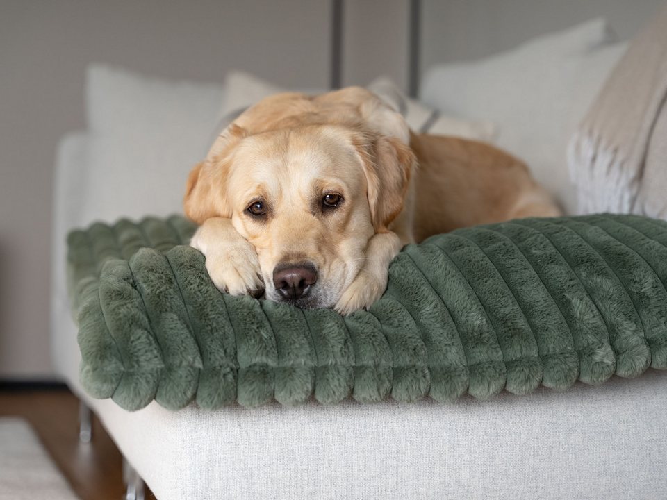 Afbeelding Trendpet Mora Zachte Hondenmat Groen