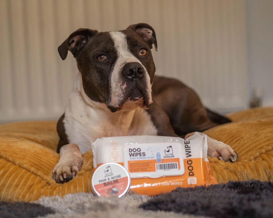 Afbeelding Dogslife Dog Grooming Wipes