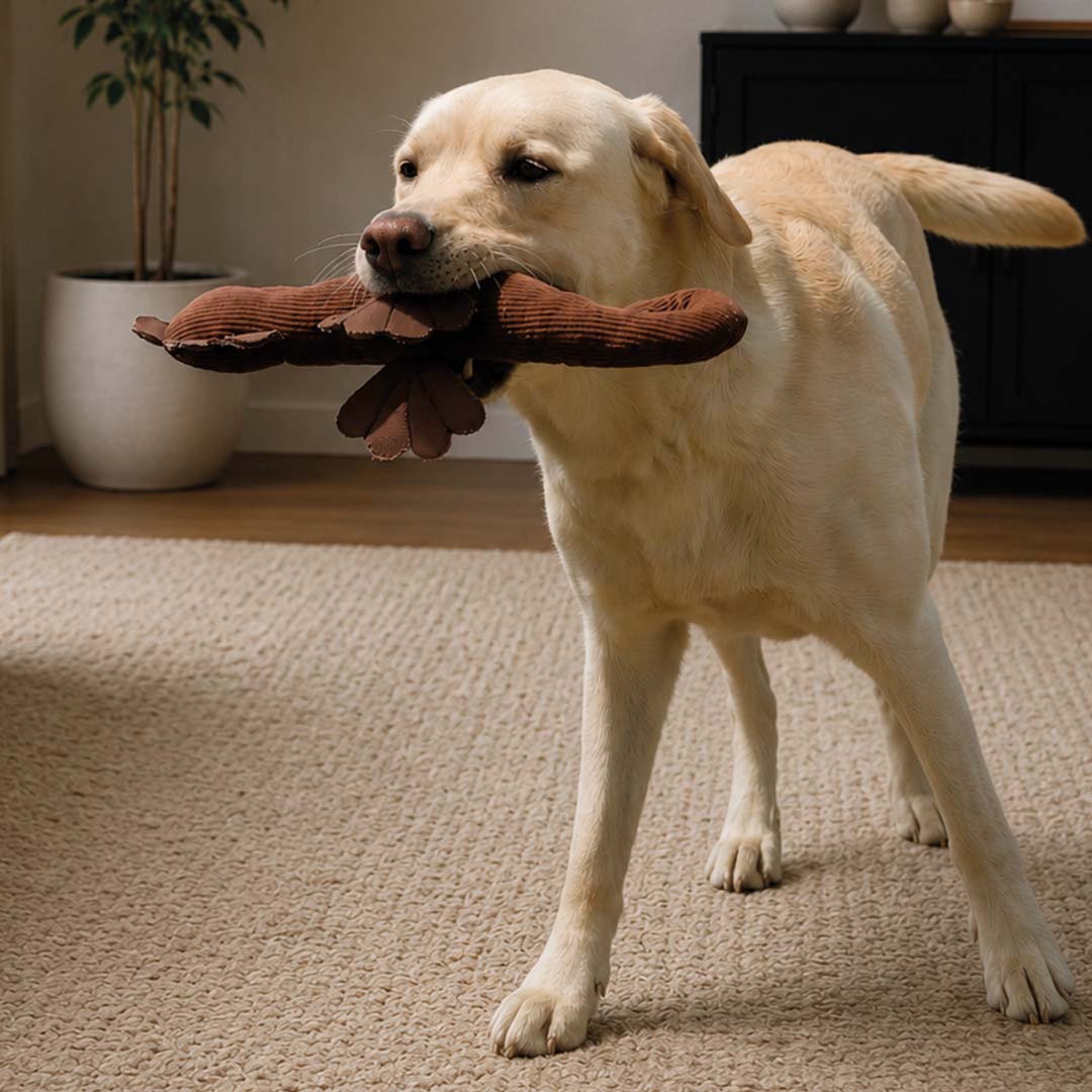 Afbeelding Knuffel EDDIE Bruin – D and D Home