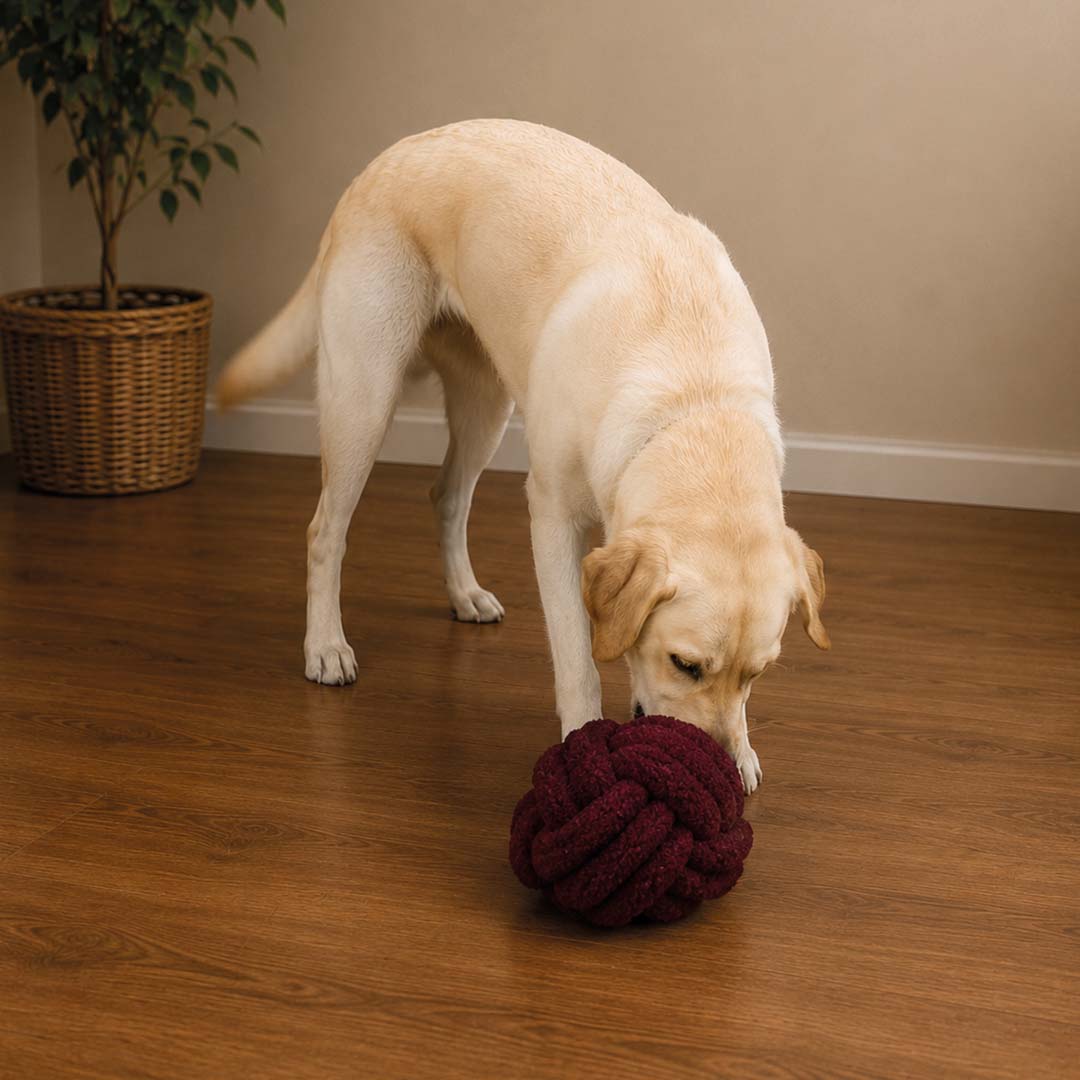 Afbeelding Teddy Ball PUCK Bordeaux – D and D Home