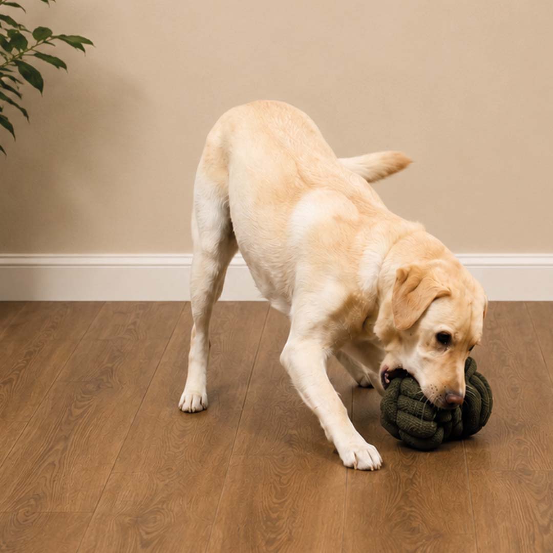 Afbeelding Teddy Ball PUCK Legergroen – D and D Home
