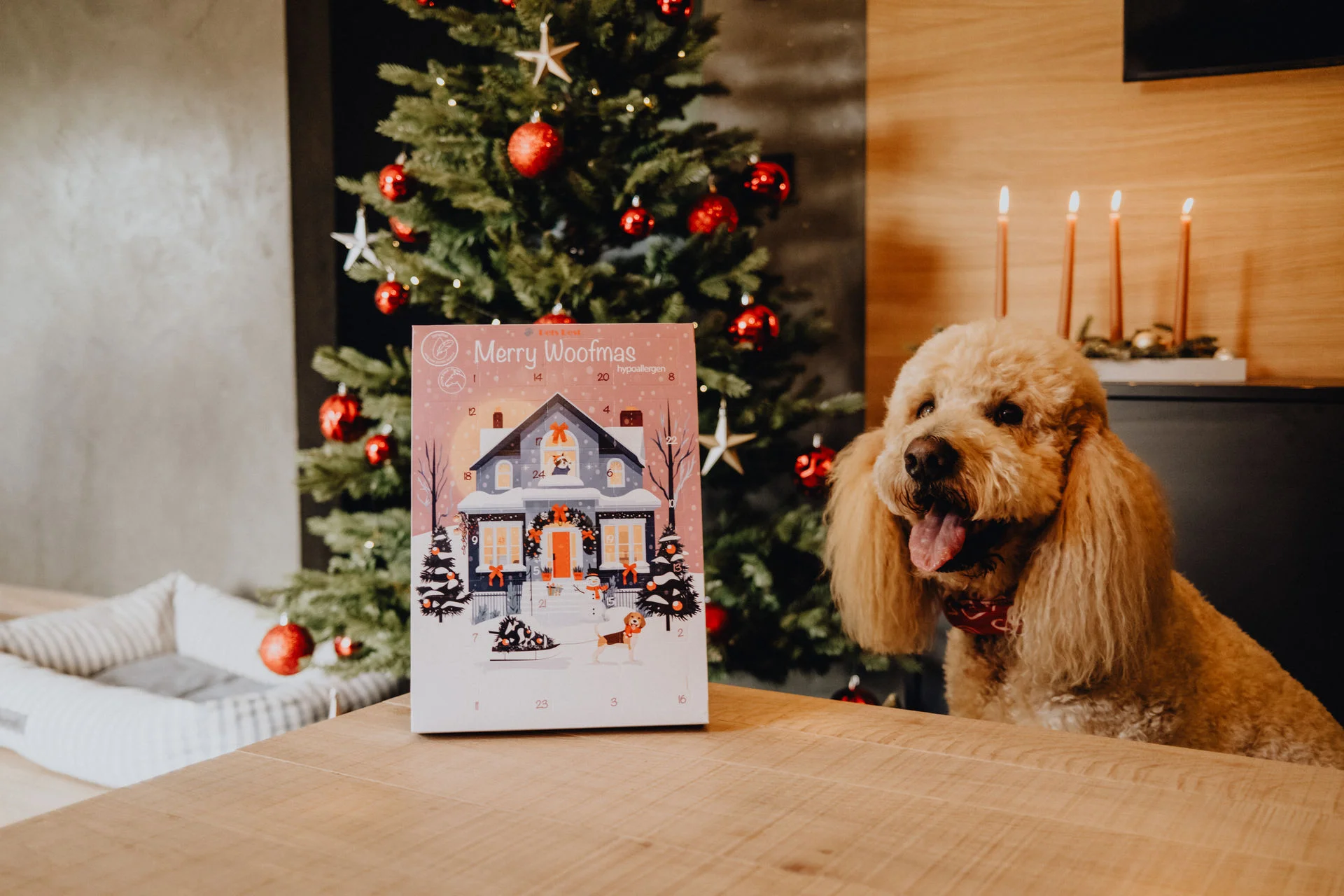 Afbeelding Snowman’s Christmas Morning Adventskalender 2026 – Hypoallergeen