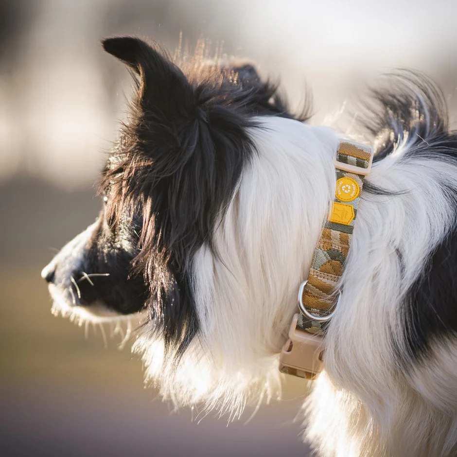 Afbeelding Woolly Wolf Cloudbeam Collar
