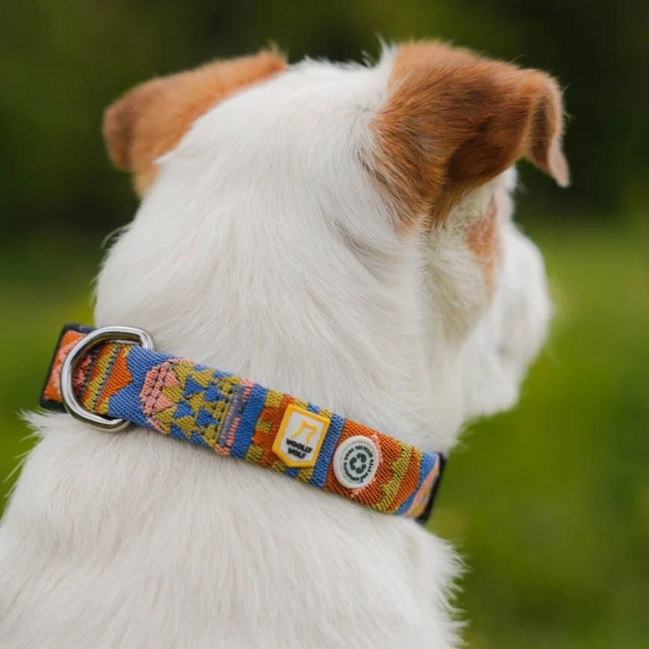 Afbeelding Woolly Wolf Nightless Night Collar