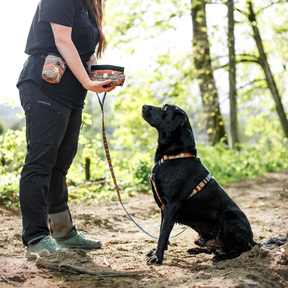 Afbeelding Woolly Wolf Nightless Night Leash